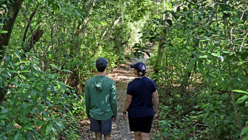 Beach Trail